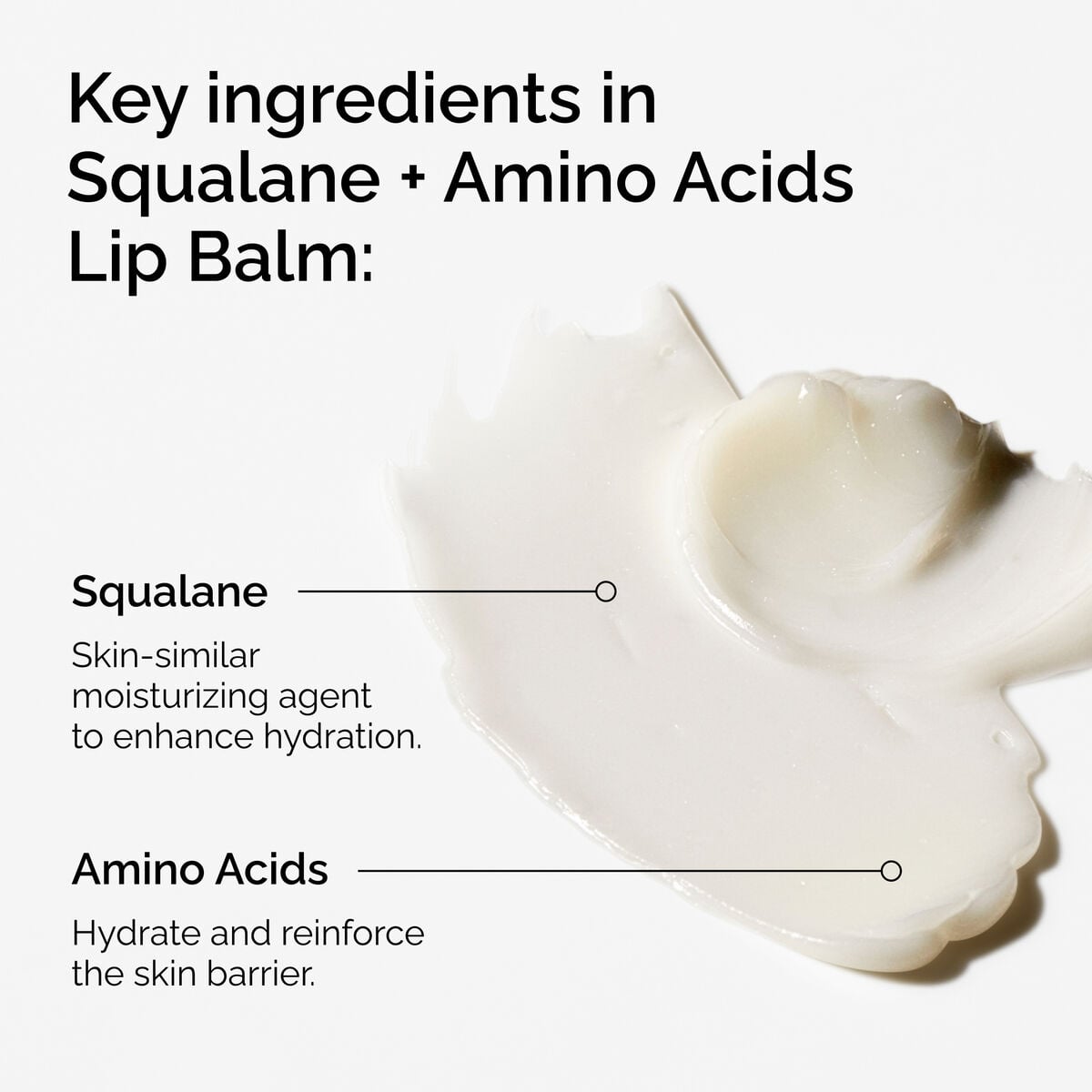 Squalane + Amino Acids Lip Balm